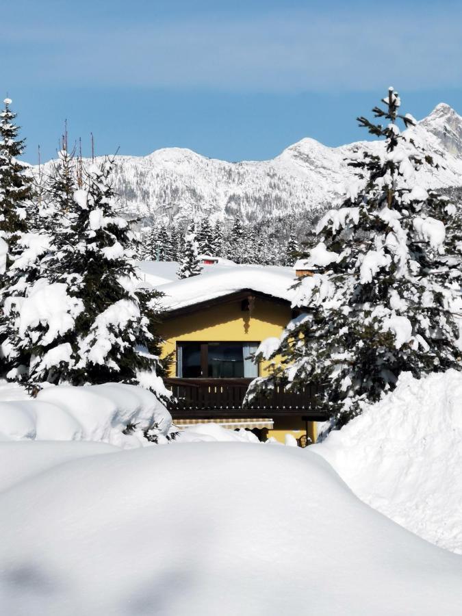 The Seefeld Retreat - Central Family Friendly Apartments - Mountain Views Зефельд-ін-Тіроль Екстер'єр фото